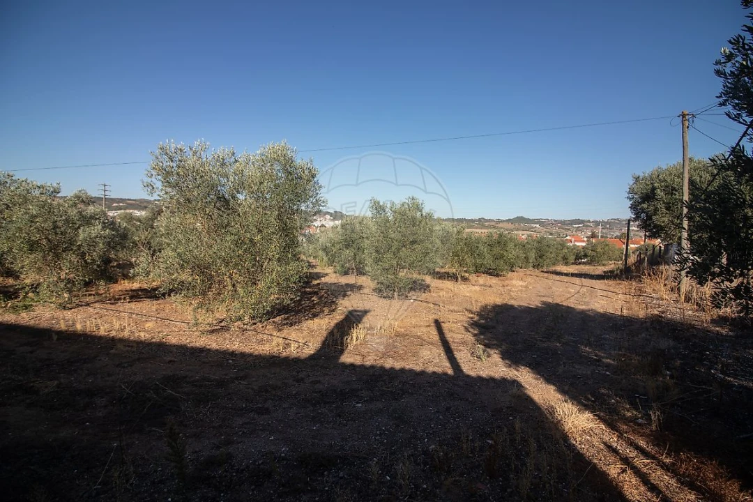 Terreno para Venda em Alenquer (Santo Estêvão e Triana) Foto 12
