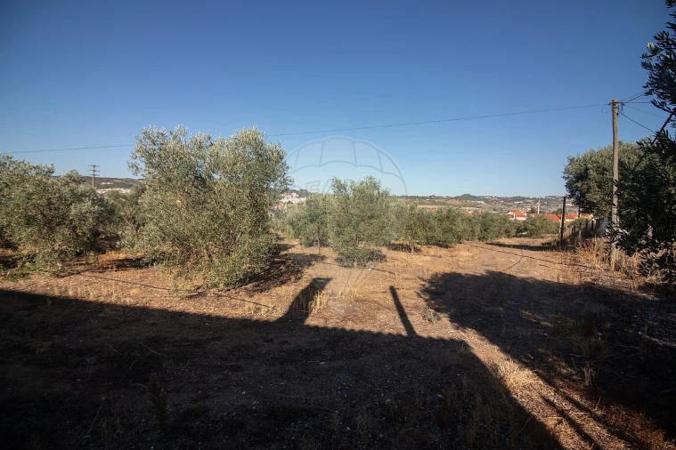 Terreno para Venda em Alenquer (Santo Estêvão e Triana) Foto 12