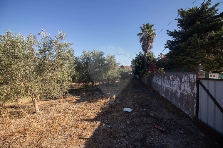 Terreno para Venda em Alenquer (Santo Estêvão e Triana) Foto 14