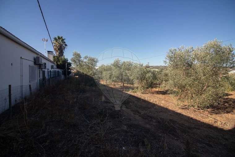 Terreno para Venda em Alenquer (Santo Estêvão e Triana) Foto 13
