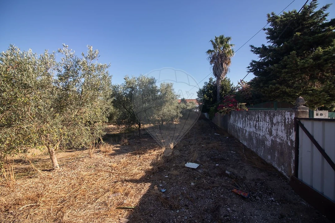 Terreno para Venda em Alenquer (Santo Estêvão e Triana) Foto 14