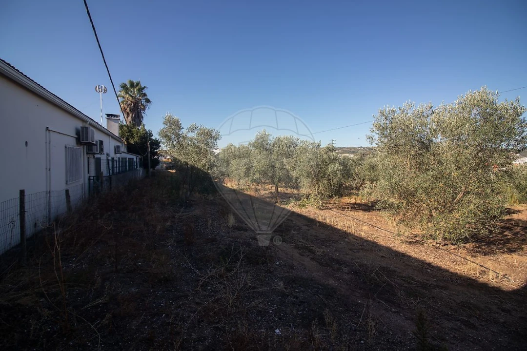 Terreno para Venda em Alenquer (Santo Estêvão e Triana) Foto 13
