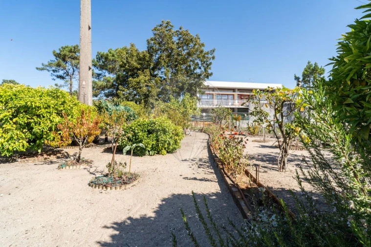 Moradia T3 para Venda em Ílhavo (São Salvador) Foto 11