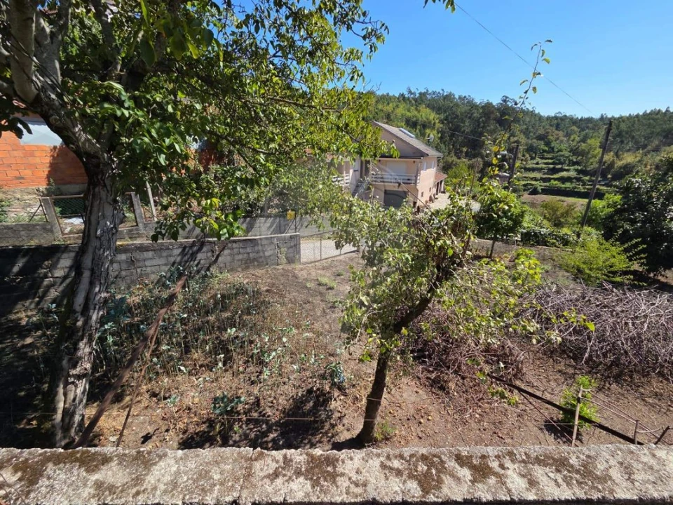 Terreno para Venda em Oliveira de Frades, Souto de Lafões e Sejães Foto 4