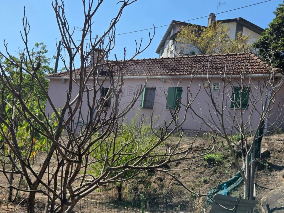 Moradia T1 para Venda em Oliveira de Frades, Souto de Lafões e Sejães Foto 2