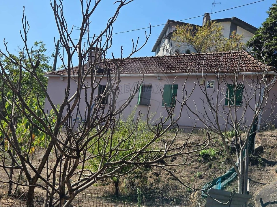 Moradia T1 para Venda em Oliveira de Frades, Souto de Lafões e Sejães Foto 23