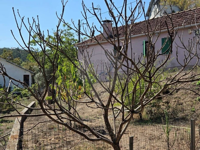 Moradia T1 para Venda em Oliveira de Frades, Souto de Lafões e Sejães Foto 38