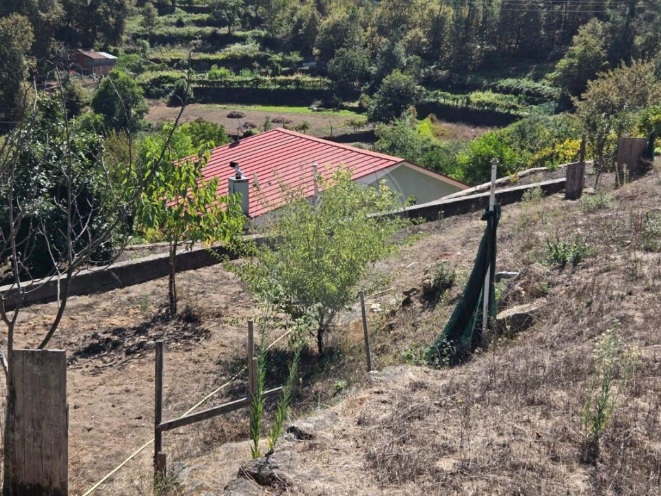 Moradia T1 para Venda em Oliveira de Frades, Souto de Lafões e Sejães Foto 2
