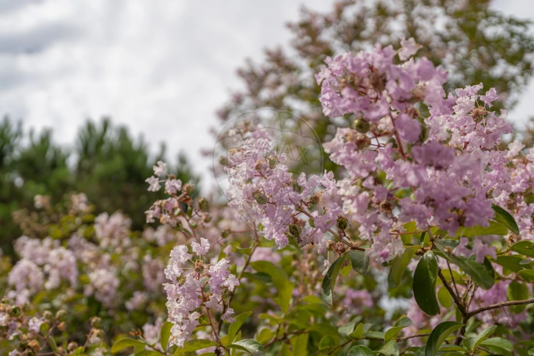Moradia T5 para Venda em Santo Antonio dos Olivais Foto 17