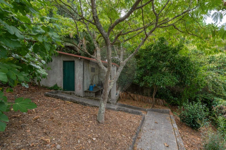 Moradia T5 para Venda em Santo Antonio dos Olivais Foto 46