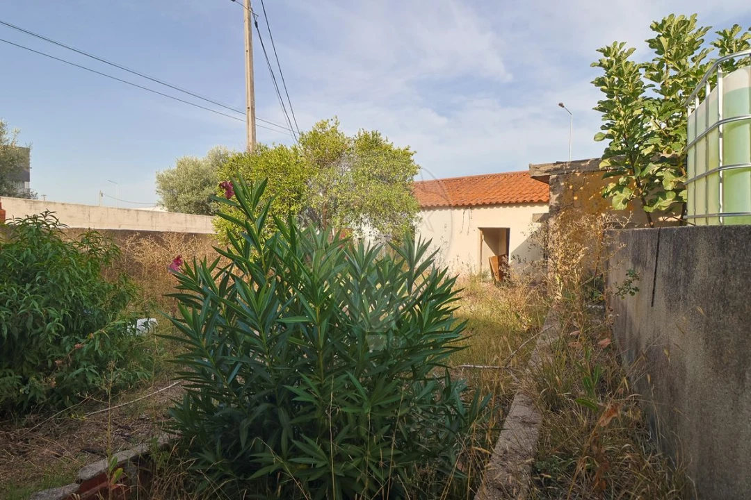 Moradia T4 para Venda em Eiras e São Paulo de Frades Foto 8