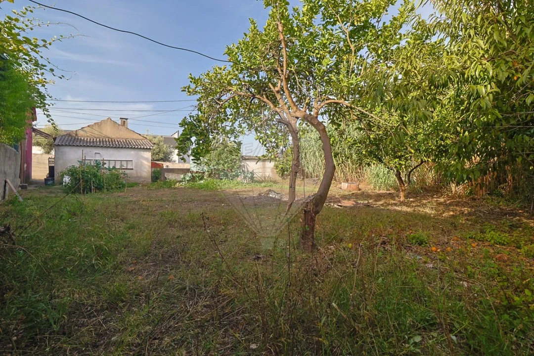 Moradia T4 para Venda em Eiras e São Paulo de Frades Foto 9