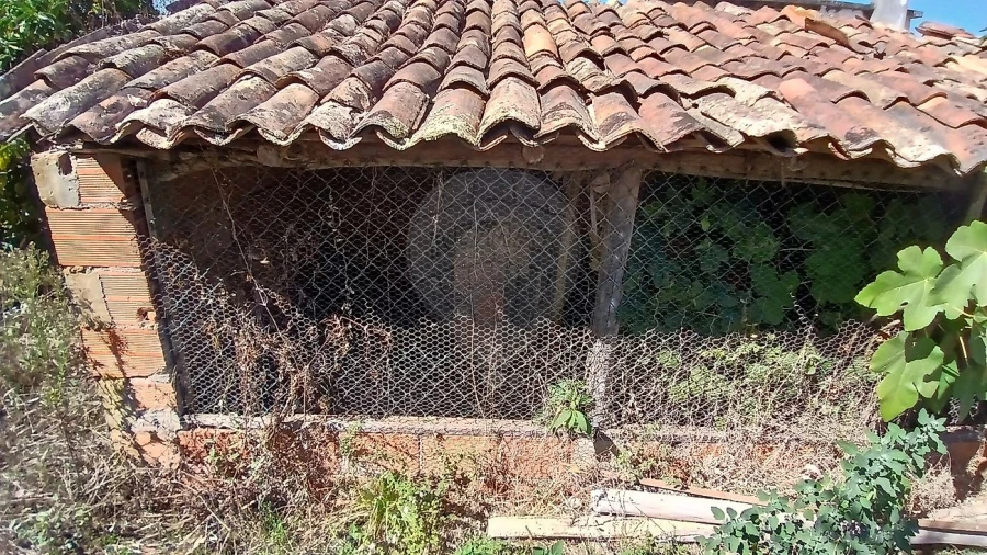 Moradia T3 para Venda em Semide e Rio Vide Foto 32