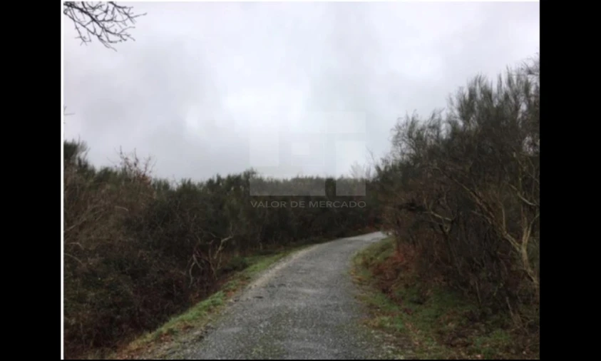 Terreno para Venda em Ovadas e Panchorra