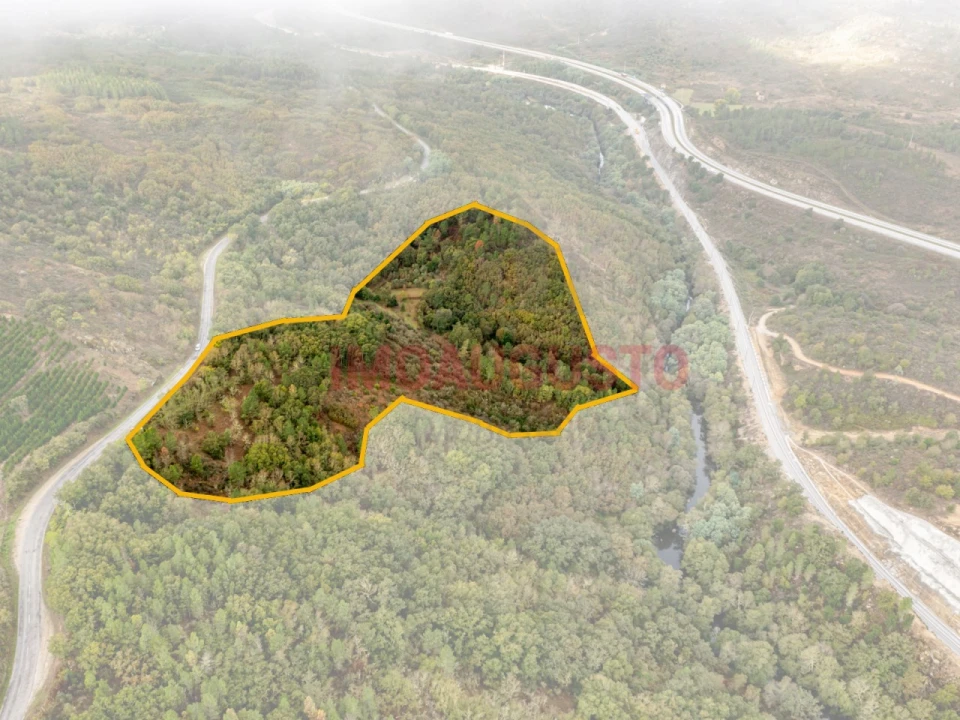 Quinta para Venda em São Pedro e Santa Maria e Vila Boa do Mondego Foto 1