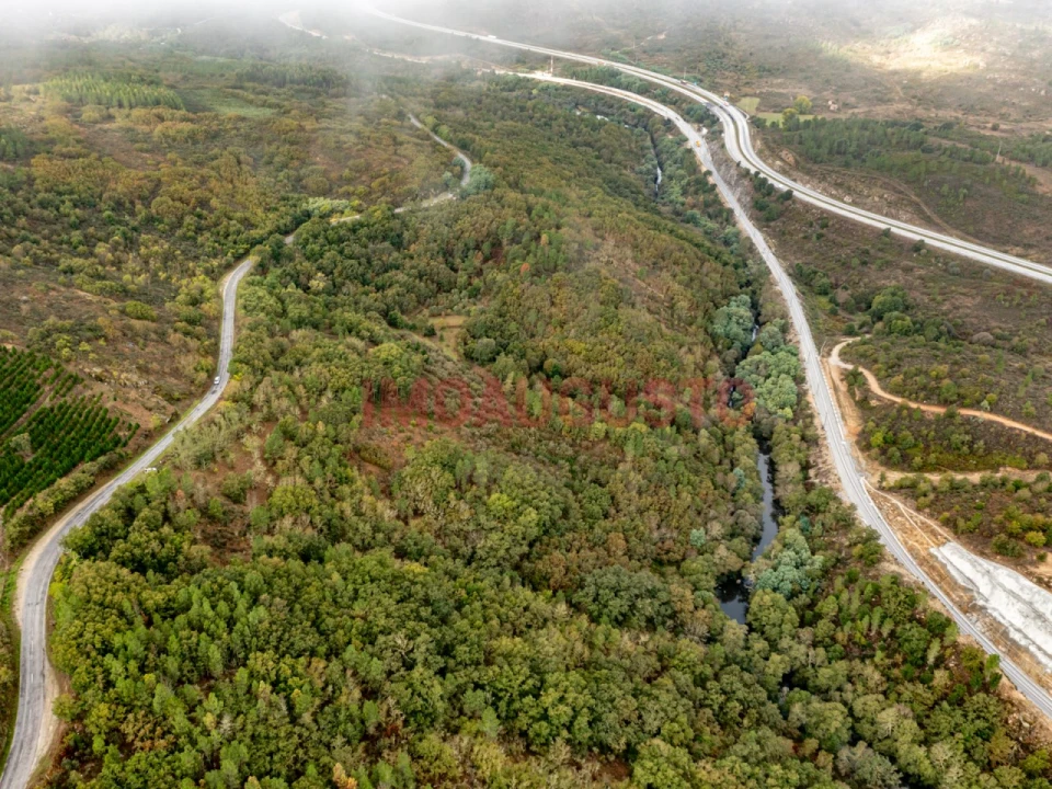 Quinta para Venda em São Pedro e Santa Maria e Vila Boa do Mondego Foto 2