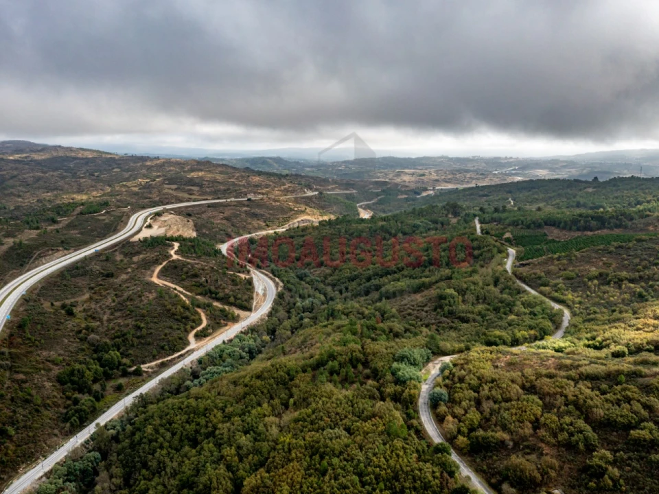 Quinta para Venda em São Pedro e Santa Maria e Vila Boa do Mondego Foto 3