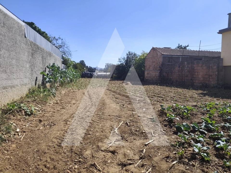 Terreno para Venda em Águeda e Borralha Foto 1