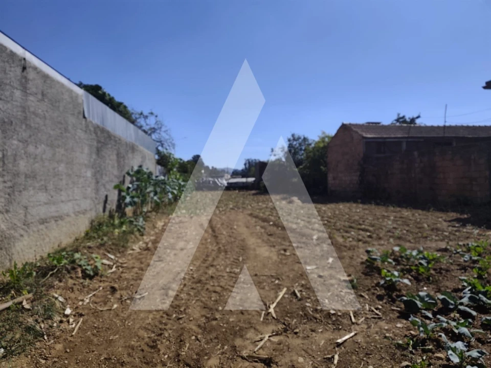 Terreno para Venda em Águeda e Borralha Foto 2