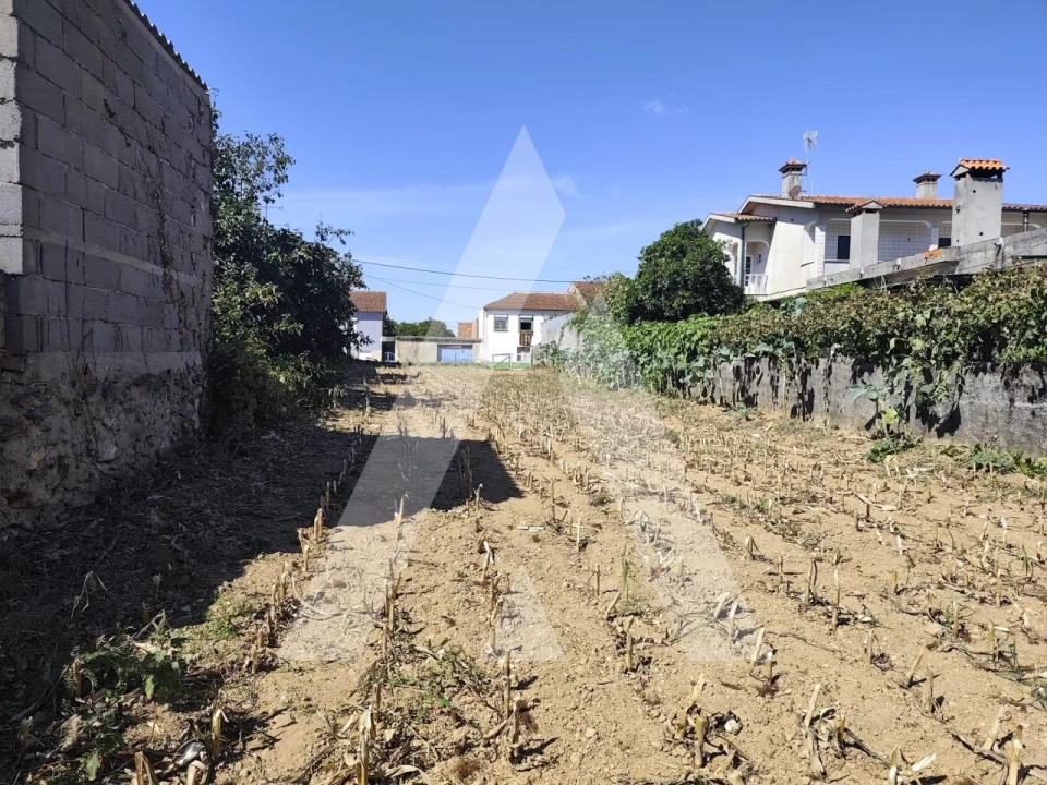 Terreno para Venda em Águeda e Borralha Foto 3