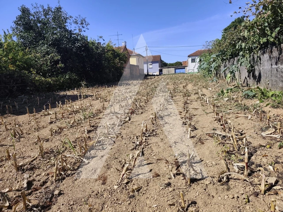 Terreno para Venda em Águeda e Borralha Foto 5
