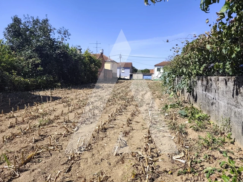 Terreno para Venda em Águeda e Borralha Foto 11