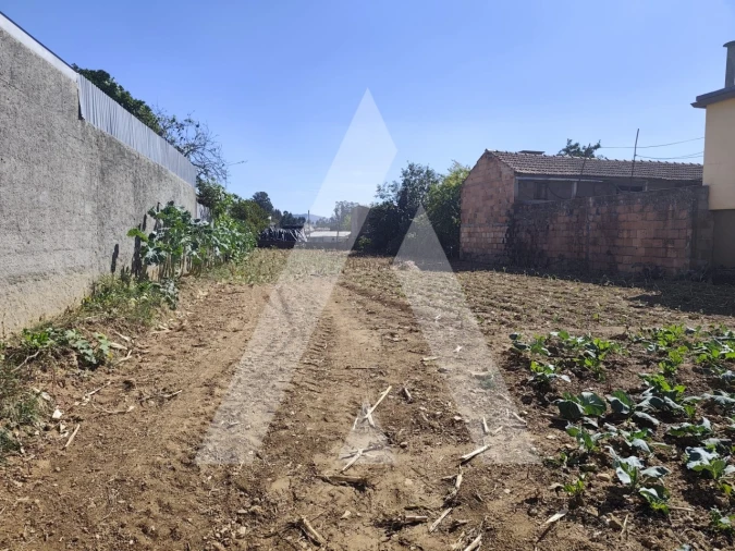 Terreno para Venda em Águeda e Borralha