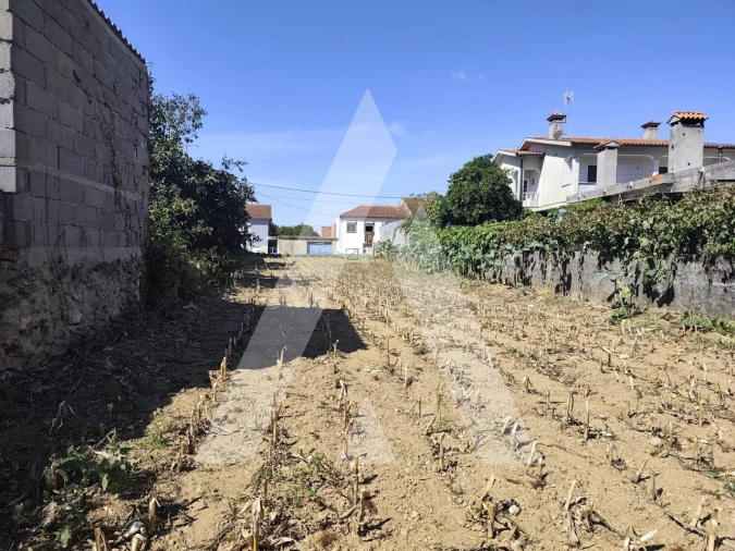 Terreno para Venda em Águeda e Borralha Foto 3
