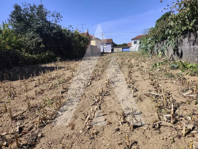 Terreno para Venda em Águeda e Borralha Foto 5