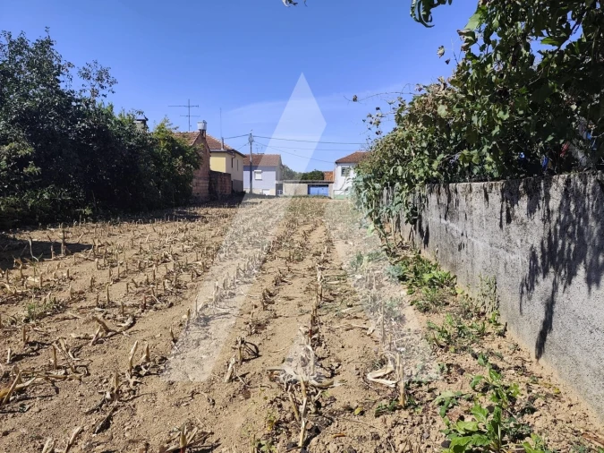 Terreno para Venda em Águeda e Borralha Foto 6