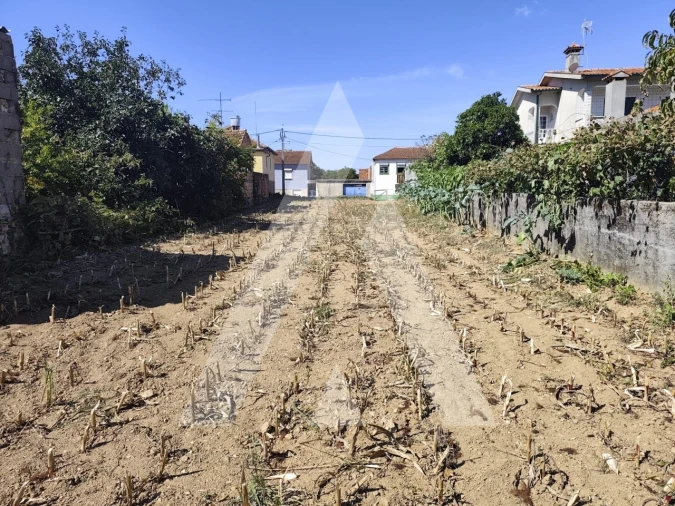 Terreno para Venda em Águeda e Borralha Foto 10
