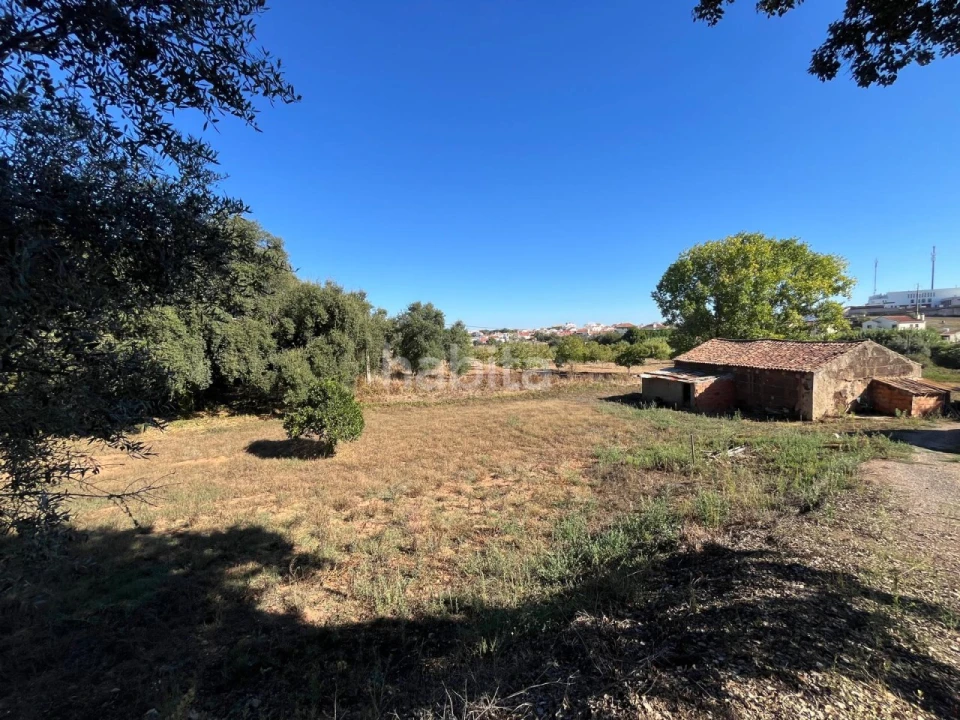 Quinta T2 para Venda em Cercal Foto 15