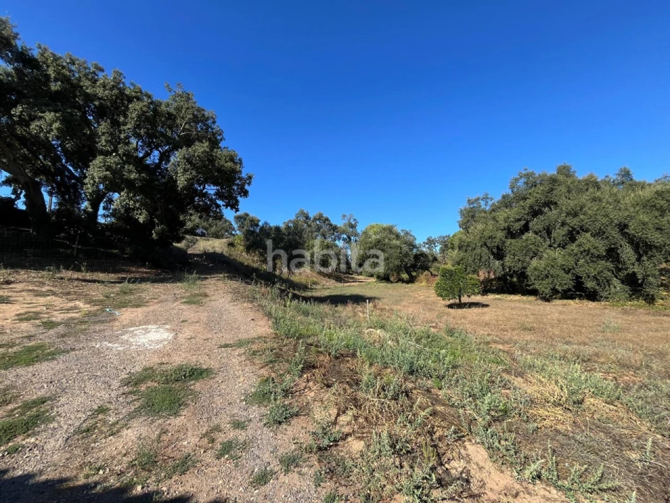 Quinta T2 para Venda em Cercal Foto 17