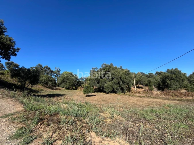 Quinta T2 para Venda em Cercal Foto 18