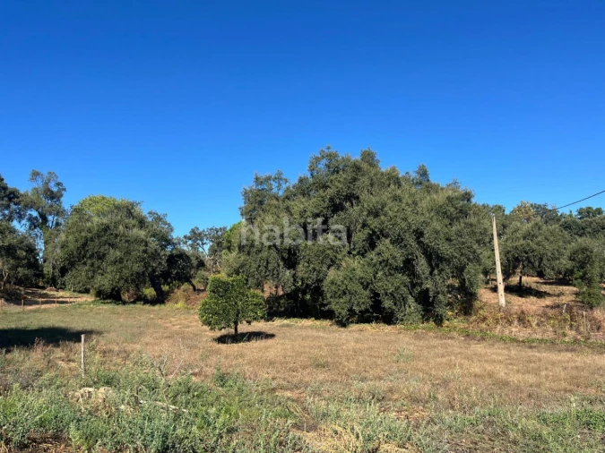 Quinta T2 para Venda em Cercal Foto 19