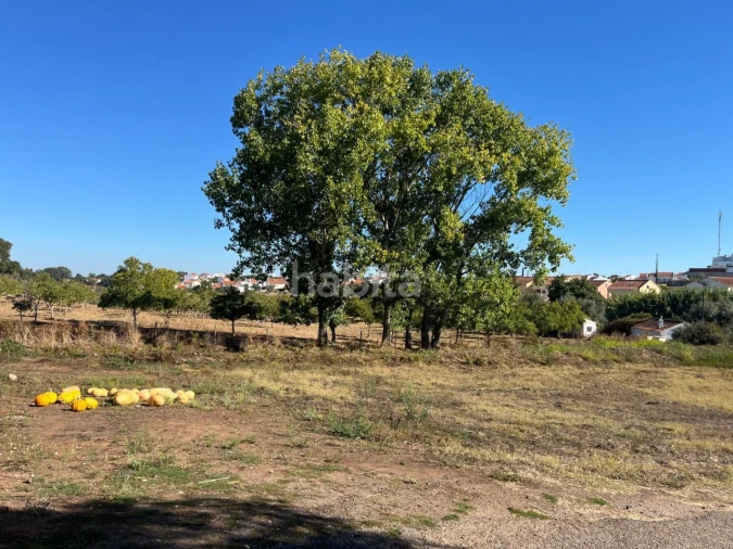 Quinta T2 para Venda em Cercal Foto 22