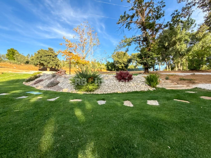 Negócio para Venda em Ferreira do Zezere Foto 81