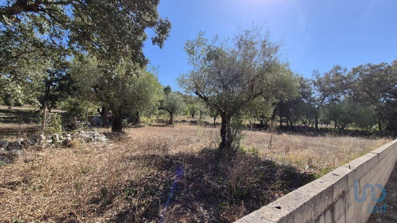 Moradia T2 para Venda em Minde Foto 12