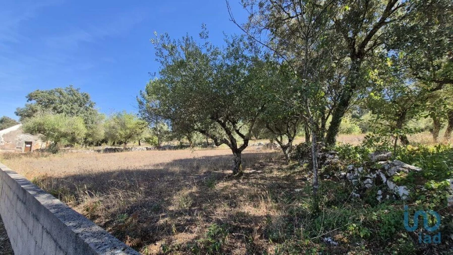 Moradia T2 para Venda em Minde Foto 9