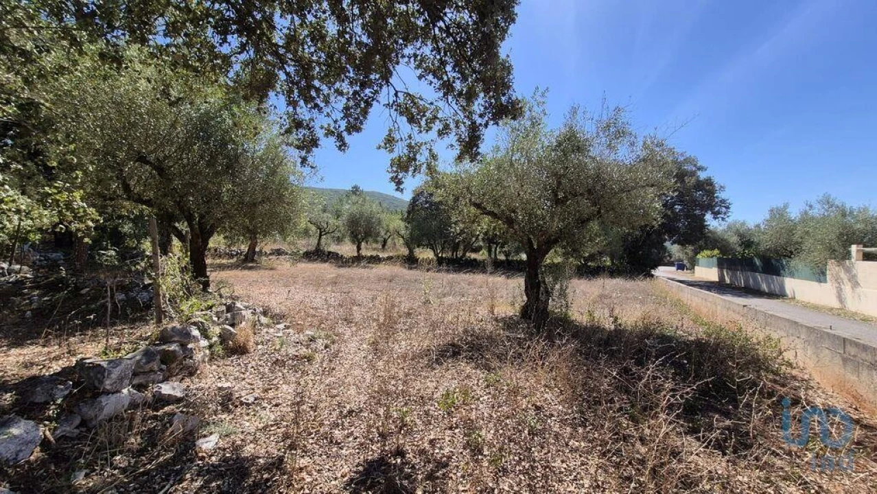 Moradia T2 para Venda em Minde Foto 11