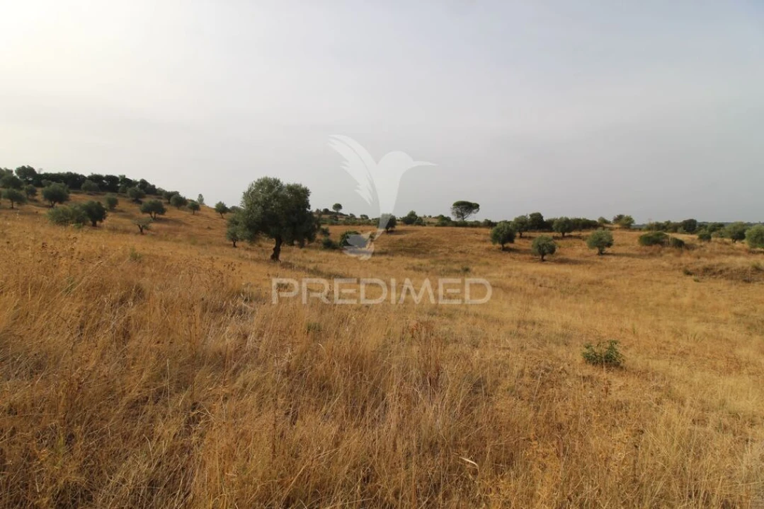Terreno para Venda em Bugalhos Foto 10