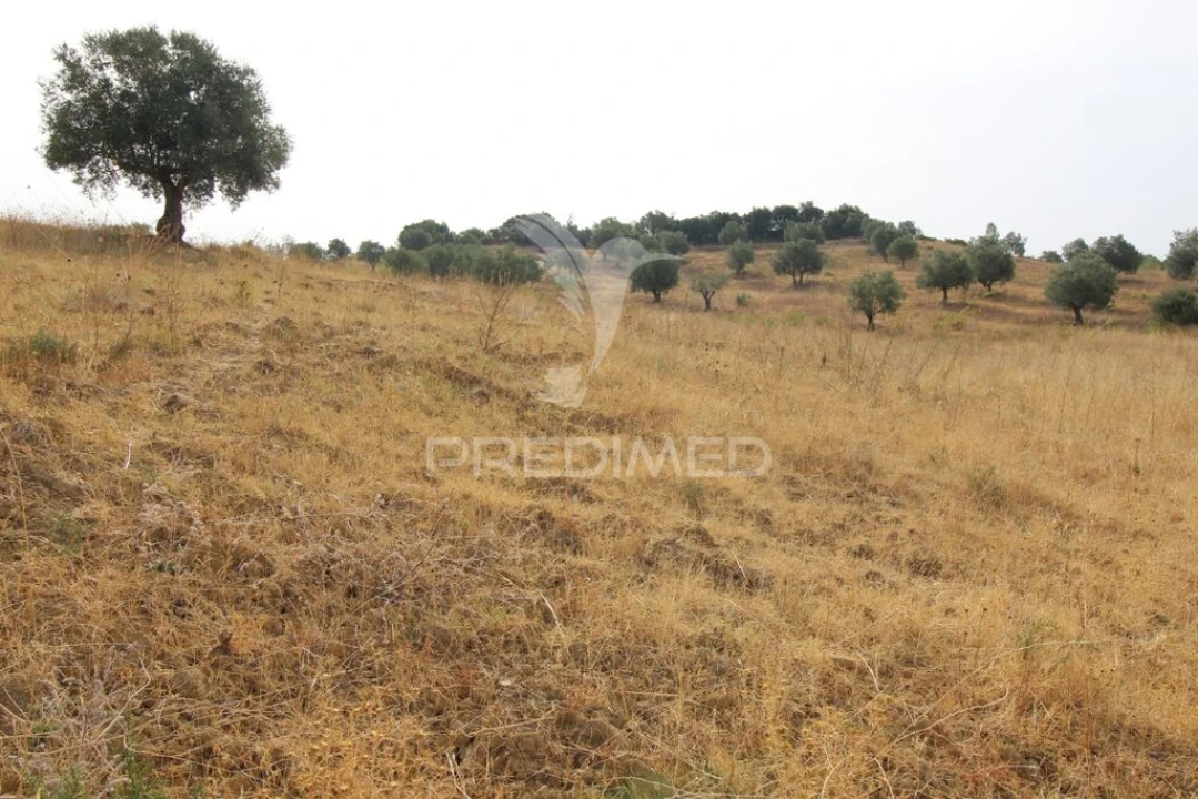 Terreno para Venda em Bugalhos Foto 12