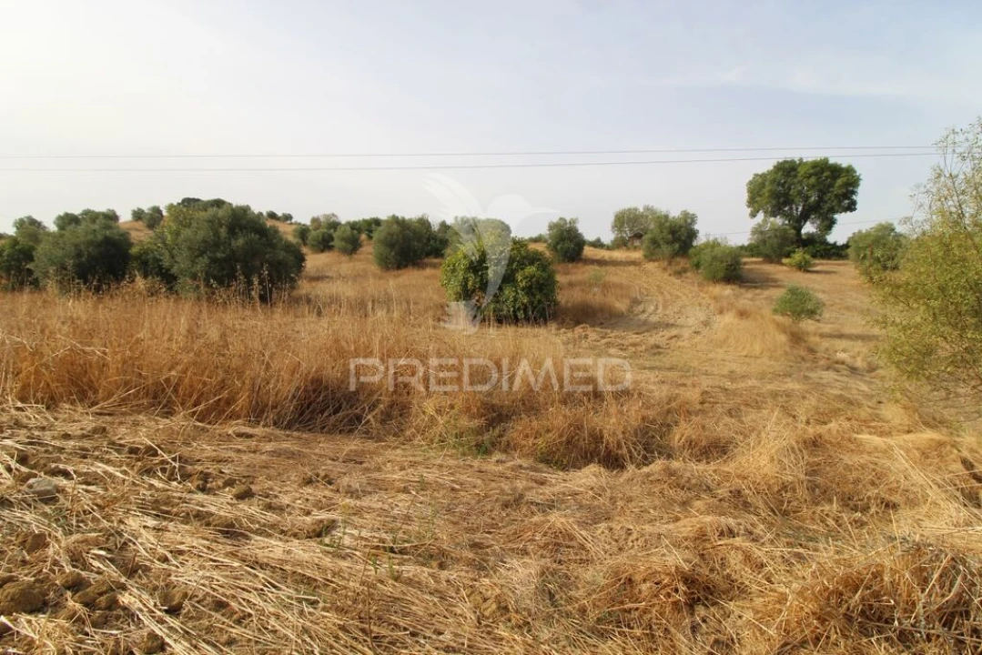 Terreno para Venda em Bugalhos Foto 6