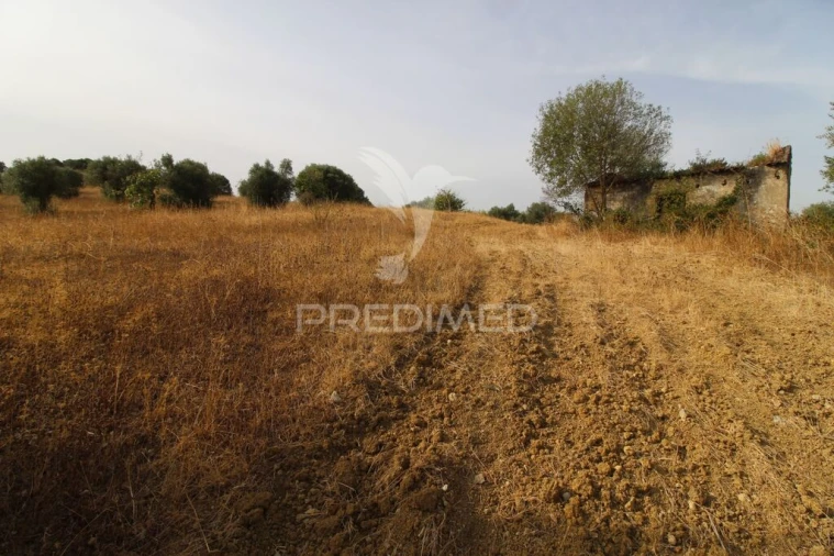 Terreno para Venda em Bugalhos Foto 7