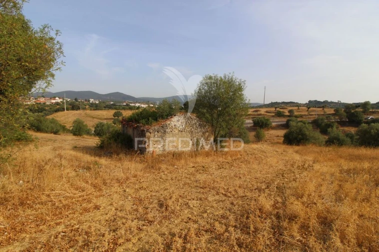 Terreno para Venda em Bugalhos Foto 8