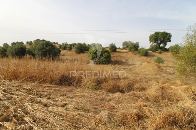 Terreno para Venda em Bugalhos Foto 6