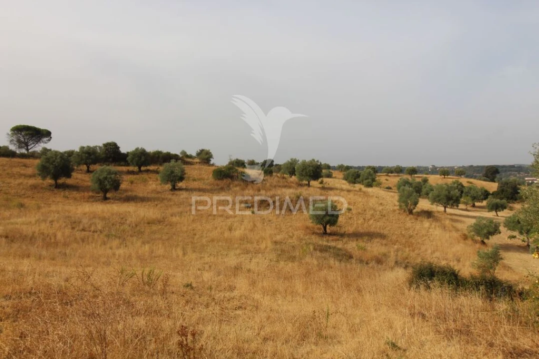 Terreno para Venda em Bugalhos Foto 11