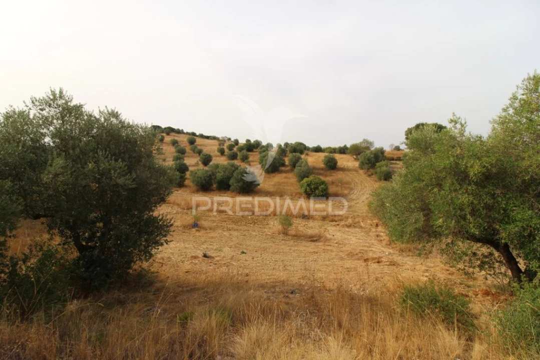 Terreno para Venda em Bugalhos Foto 15