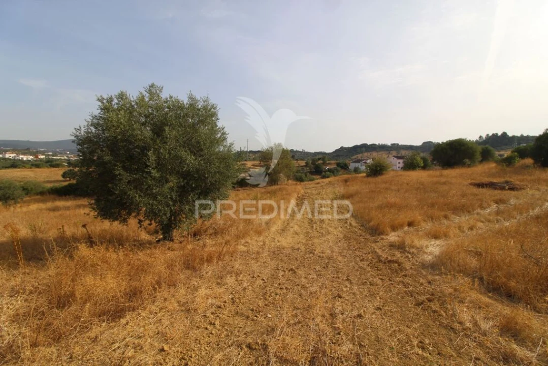 Terreno para Venda em Bugalhos Foto 4