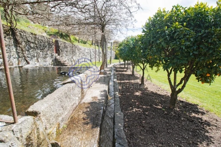 Quinta T5 para Venda em Moreira do Rei e Várzea Cova Foto 92